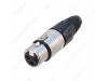 Jack Female XLR - Connector Mic - Besi